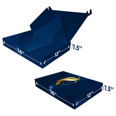 16 in x 12 in x 2.5 in 16 in x 12 in x 2.5 in