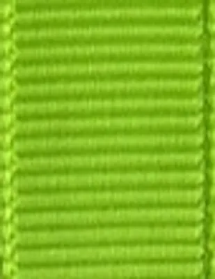 Light Green Light Green